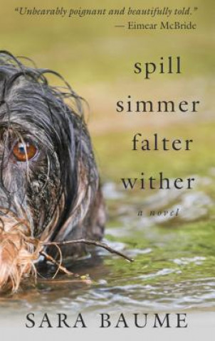 Buch Spill Simmer Falter Wither Sara Baume