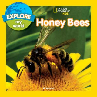 Kniha Explore My World: Honey Bees Jill Esbaum
