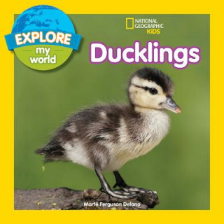 Книга Explore My World: Ducklings Marfe Ferguson Delano