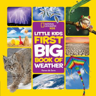 Kniha Little Kids First Big Book of Weather Karen De Seve