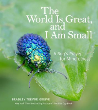 Book World Is Great, and I Am Small Bradley Trevor Greive