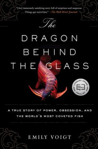 Книга Dragon Behind the Glass Emily Voigt