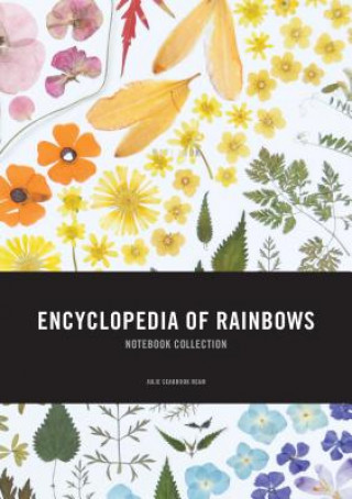 Kalendář/Diář Encyclopedia of Rainbows Notebook Collection Julie Ream
