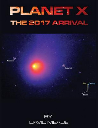 Kniha Planet X - The 2017 Arrival David Meade