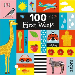 Carte 100 First Words DK