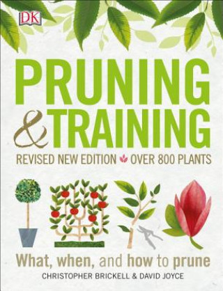 Knjiga Pruning and Training, Revised New Edition: What, When, and How to Prune DK