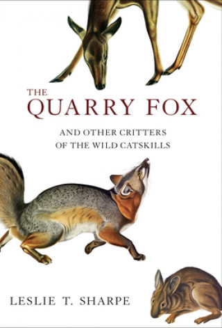 Carte The Quarry Fox: And Other Critters of the Wild Catskills Leslie Sharpe