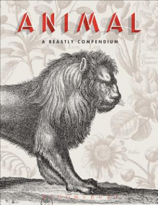 Kniha Animal Valérie Sueur-Hermel