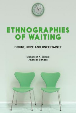 Livre Ethnographies of Waiting Manpreet J Janeja