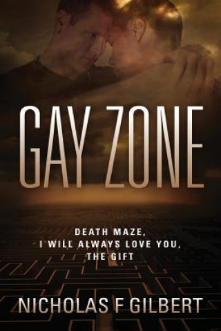 Książka Gay Zone Nicholas F. Gilbert