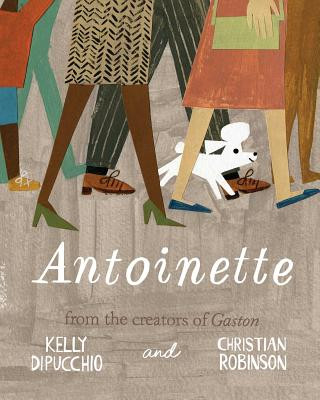 Kniha Antoinette Kelly Dipucchio