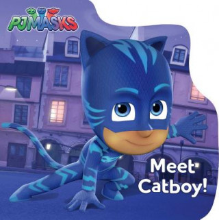 Könyv Meet Catboy! R. J. Cregg