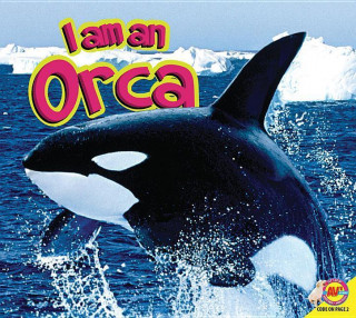 Kniha Orca John Willis