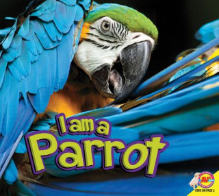 Kniha Parrot Samantha Nugent