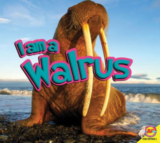 Book Walrus Samantha Nugent