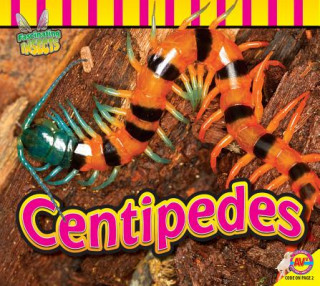 Libro Centipedes John Willis