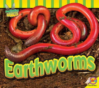 Kniha Earthworms Samantha Nugent