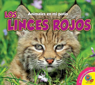 Książka Los Linces Rojos (Bobcats) Aaron Carr