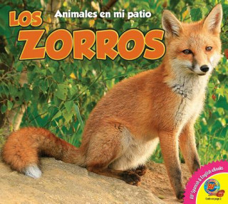 Kniha Los Zorros (Foxes) Aaron Carr