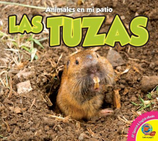 Książka Las Tuzas (Gophers) Aaron Carr