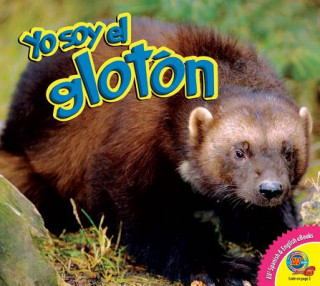 Książka El Gloton (Wolverine) Aaron Carr