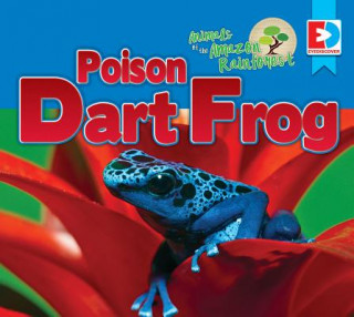 Książka Animals of the Amazon Rainforest: Poison Dart Frog Katie Gillespie