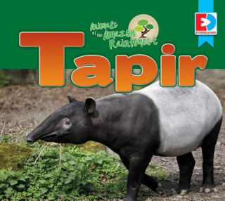 Książka Animals of the Amazon Rainforest: Tapir Katie Gillespie