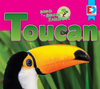 Livre Animals of the Amazon Rainforest: Toucan Katie Gillespie