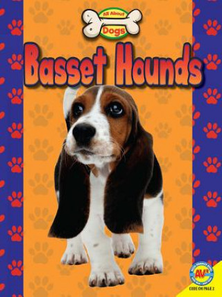 Kniha Basset Hounds Susan Heinrichs Gray