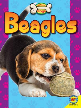 Kniha Beagles Susan Heinrichs Gray
