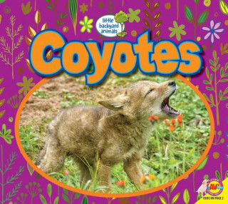 Книга Coyotes John Willis