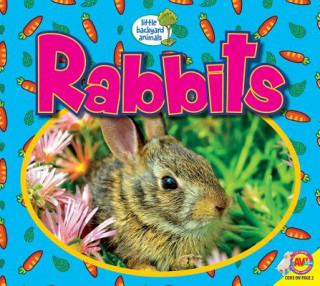 Könyv Rabbits Heather Kissock