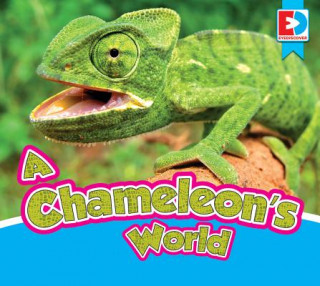 Könyv A Chameleon's World Eric Doty
