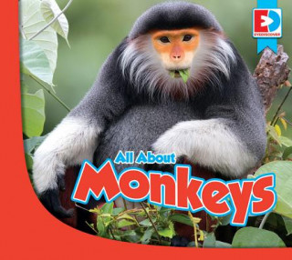 Knjiga All about Monkeys Jared Siemens