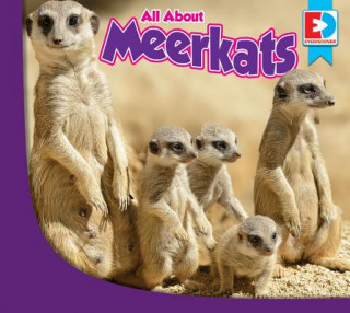 Carte All about Meerkats Piper Whelan