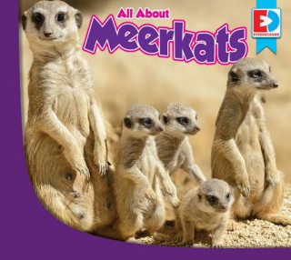 Livre All about Meerkats Piper Whelan