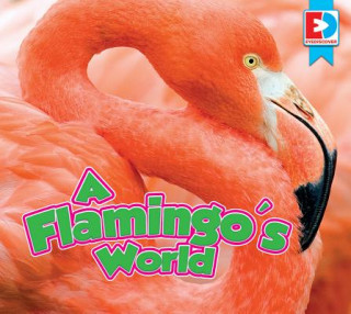 Carte A Flamingo's World John Willis