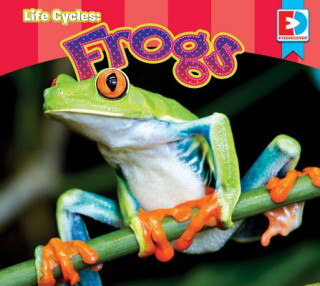 Kniha Life Cycles: Frogs Weigl