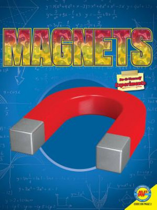 Książka Magnets Gina Hagler