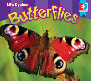 Kniha Life Cycles: Butterflies Weigl