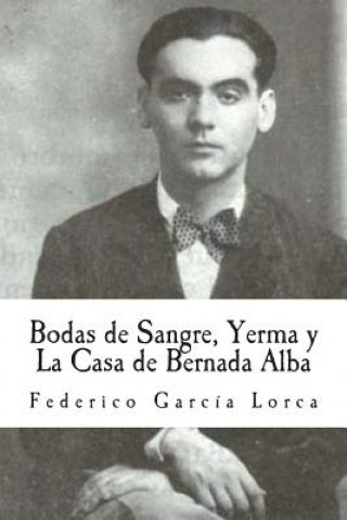Kniha Bodas de Sangre, Yerma y La Casa de Bernada Alba Federico García Lorca