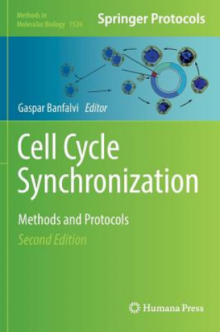 Kniha Cell Cycle Synchronization Gaspar Banfalvi