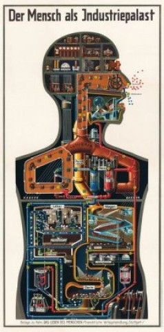 Printed items Der Mensch als Industriepalast, Poster Fritz Kahn