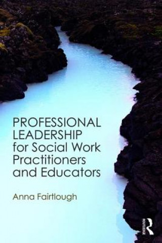 Kniha Professional Leadership for Social Work Practitioners and Educators Anna Fairtlough