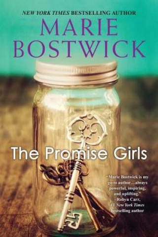 Buch The Promise Girls Marie Bostwick