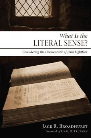 Book What Is the Literal Sense? Jace R. Broadhurst