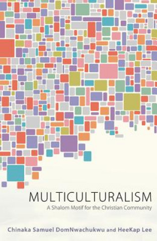 Buch Multiculturalism Chinaka Samuel DomNwachukwu