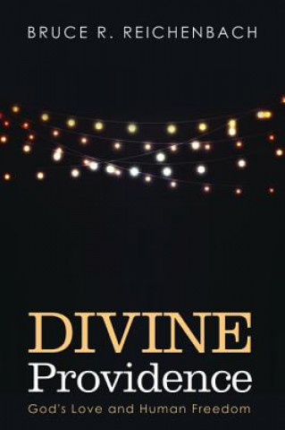 Buch Divine Providence Bruce R. Reichenbach