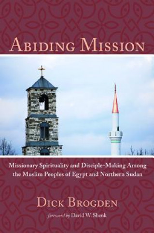 Knjiga Abiding Mission Dick Brogden