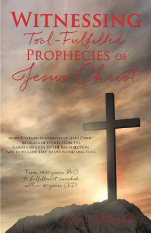 Könyv Witnessing Tool-Fulfilled Prophecies of Jesus Christ Joan Ottulich